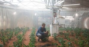 csm Can we safely eat plants grown on Mars fed33dbbcf