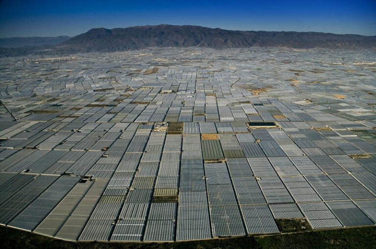 Almeria es la zona del mundo con más invernaderos bajo control biológico