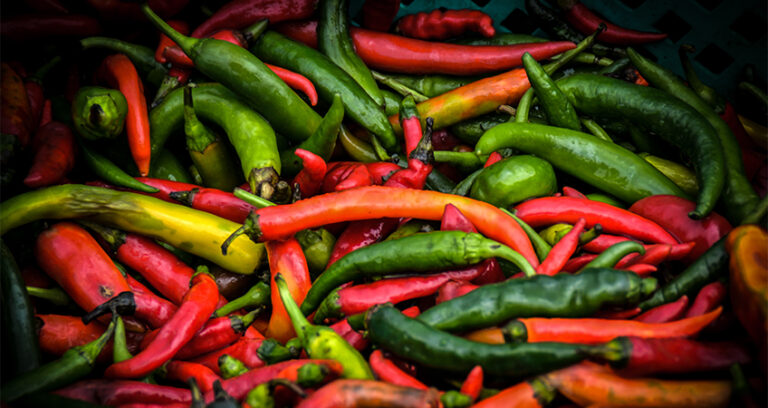 Consejos para que tu cultivo de pimientos sea un éxito.