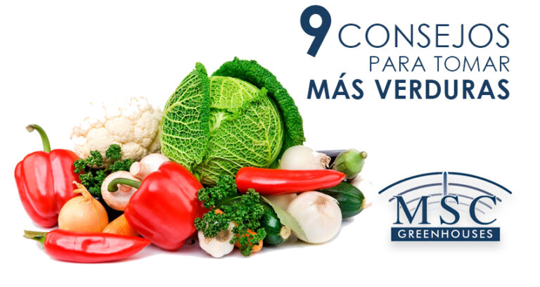 9 CONSEJOS PARA TOMAR MÁS VERDURAS