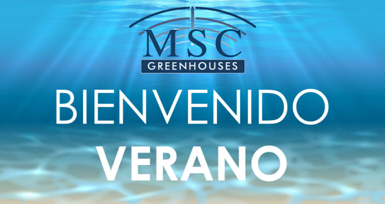 BIENVENIDO VERANO