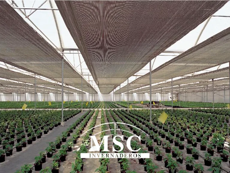 MSC Invernaderos en la Feria Internacional de Comercio Agropecuario Irán