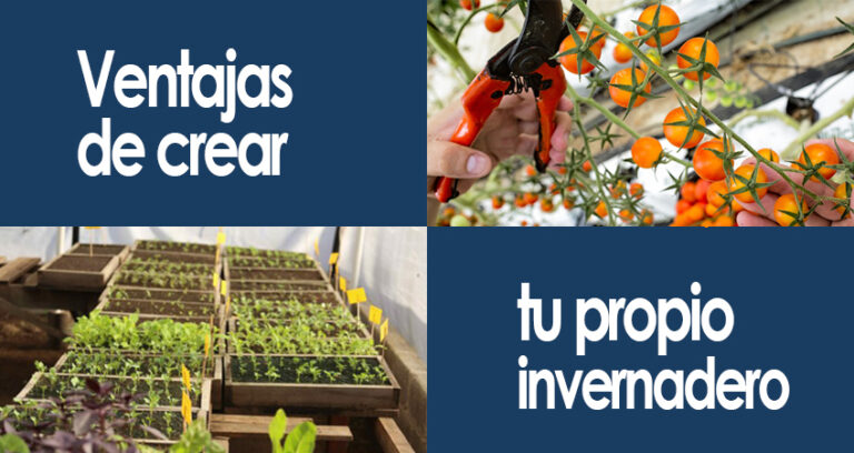 ventajas de crear tu propio invernadero