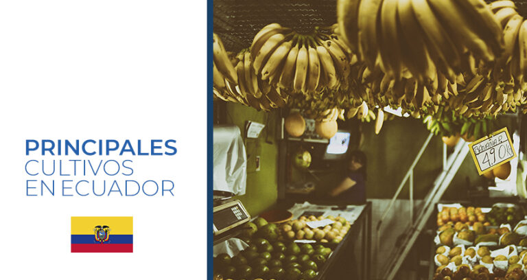 cultivos Ecuador