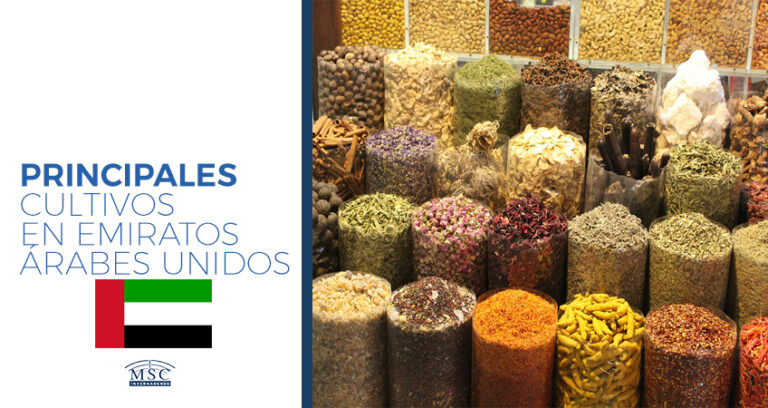 cultivos en Emiratos Árabes Unidos