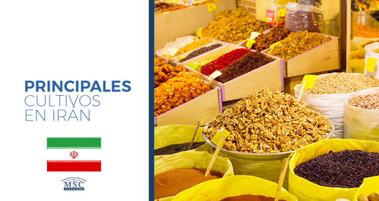 Cultivos de Irán