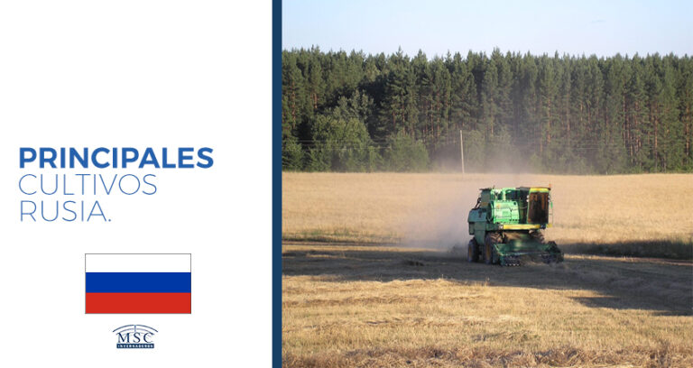 cultivos en Rusia