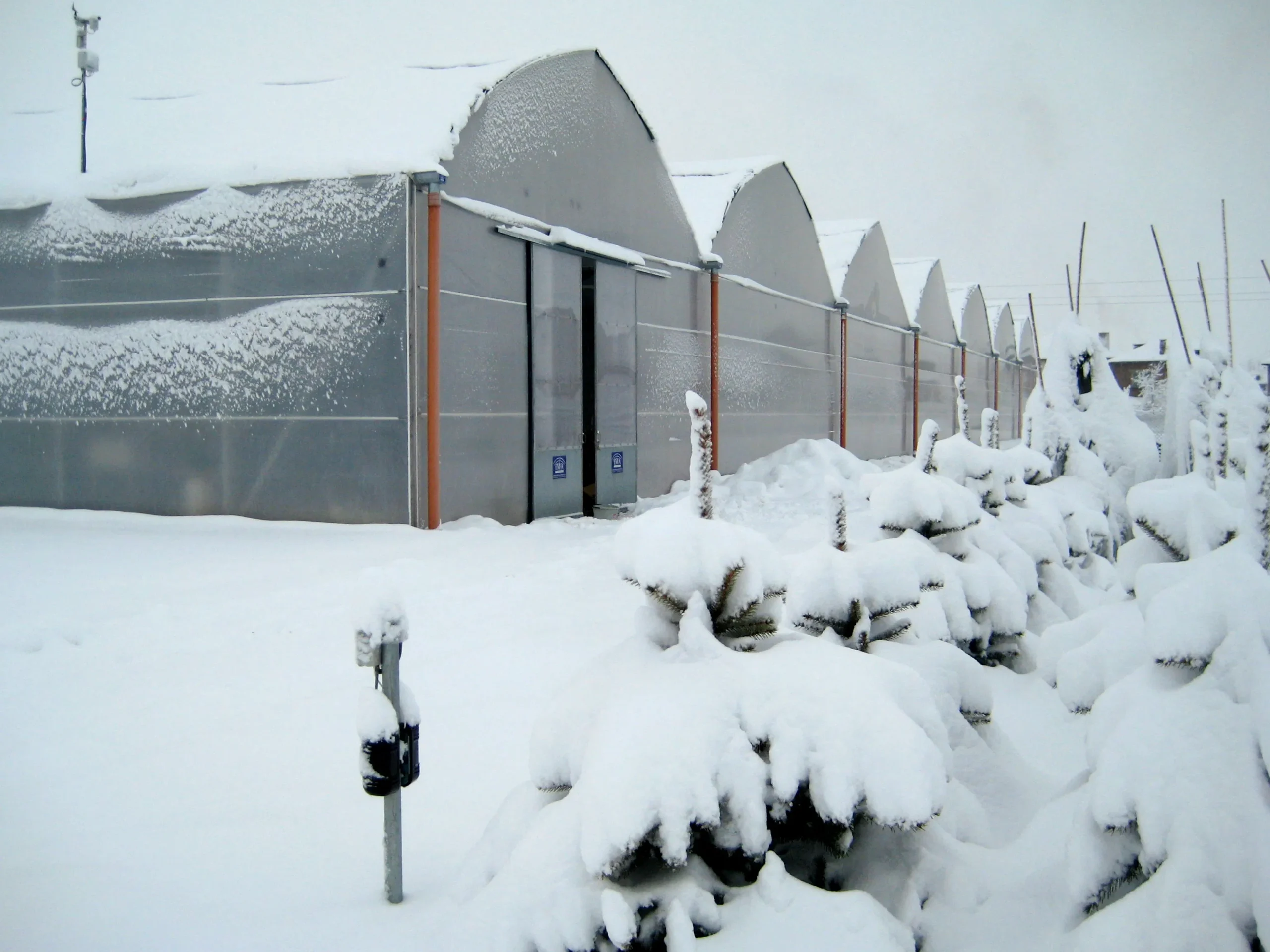 Tipos de invernadero 4 Multicapilla gotico