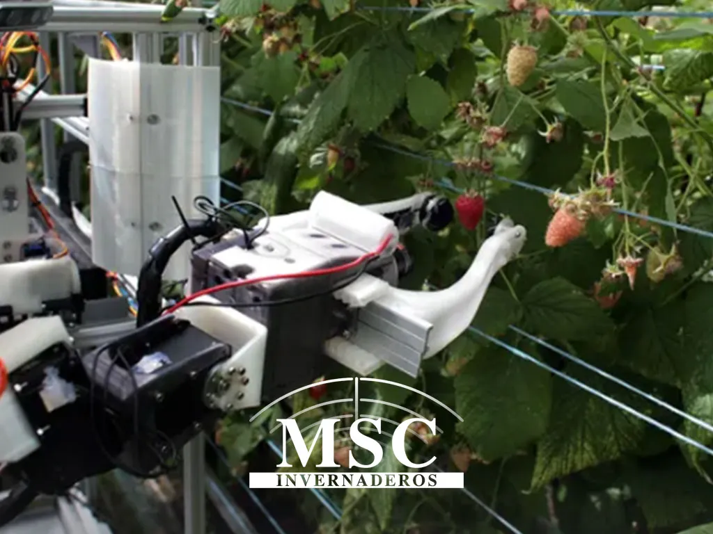 ROBOCROP