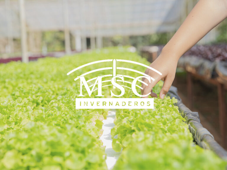 ¿Cuál es el mejor invernadero en el cultivo de hortalizas?