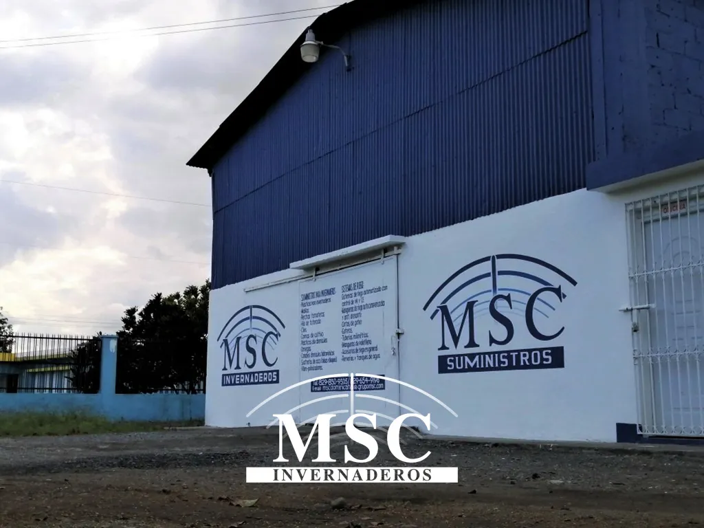 MSC en Republica dominicana (0)