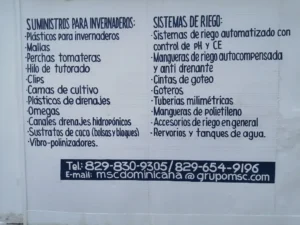 MSC en Republica dominicana 3