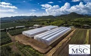 Plastico frio antitermico 2