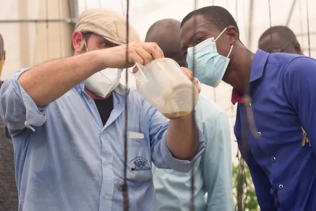 Humidity adapted greenhouse project realised in Nigeria 4
