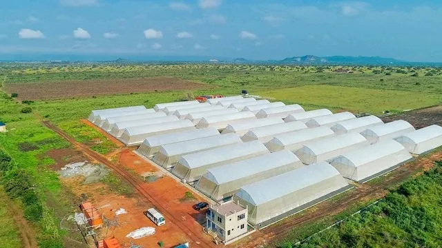 Humidity adapted greenhouse project realised in Nigeria 5