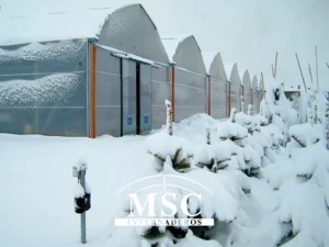Invernaderos para cultivar en invierno