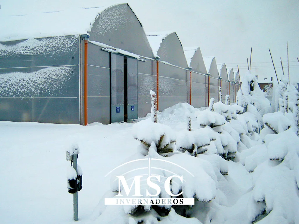 Invernaderos para cultivar en invierno
