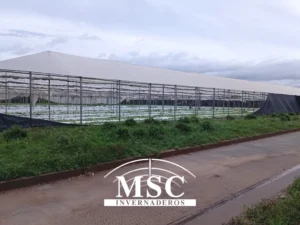 Huracán Melissa 2025